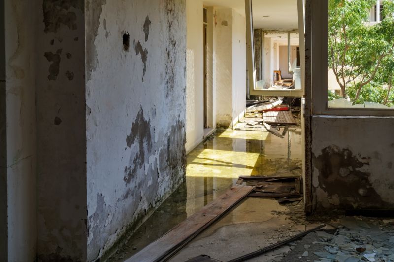 Water Damage Management